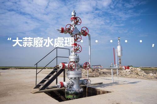 “大蒜廢水處理，綠色環(huán)保新篇章”